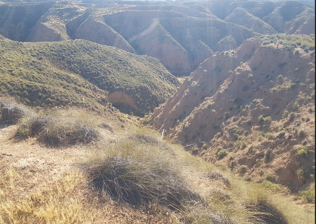 Una de las paradas con información geológicas en la ruta Desierto de Gorafe